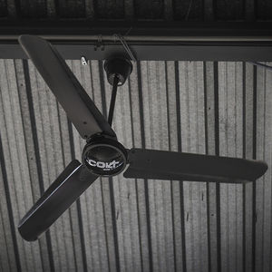 ceiling fan