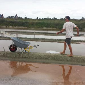 wheelbarrow