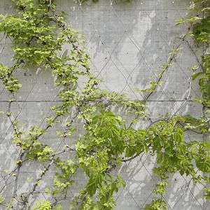 stainless steel wire mesh