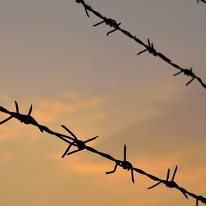barbed wire