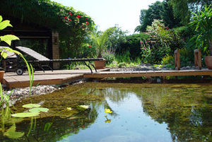 in-ground swimming pool / stone / natural / outdoor