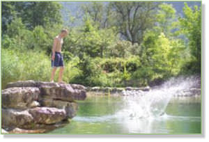 in-ground swimming pool / stone / natural / outdoor