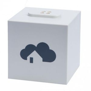 central control unit