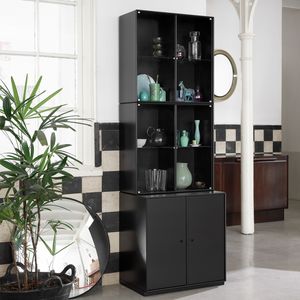 contemporary display cabinet