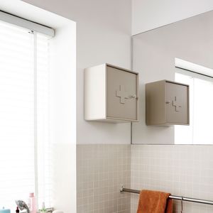 wall-mounted medicine cabinet