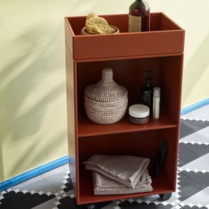 shower trolley
