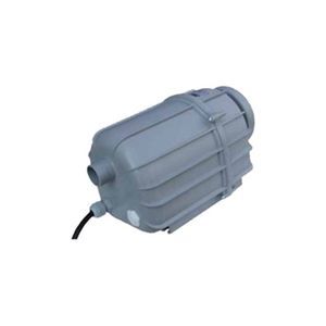 swimming pool filter