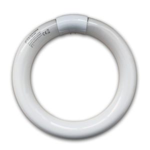 surface-mounted light fixture