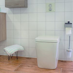pneumatic toilet flush