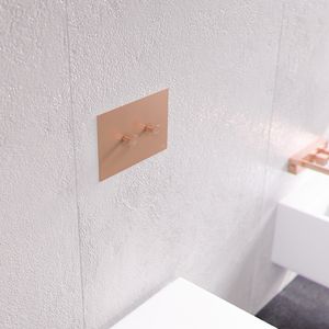 double toilet flush button