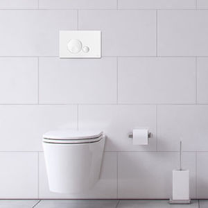 double toilet flush button