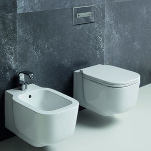 double toilet flush plate