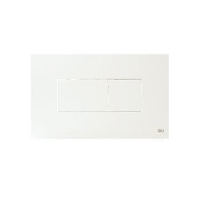 double toilet flush plate
