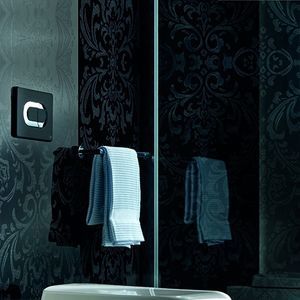 double toilet flush plate
