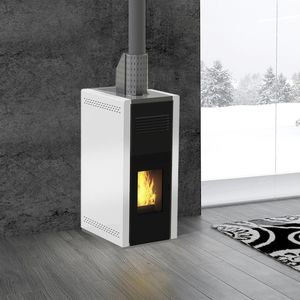 pellet boiler stove