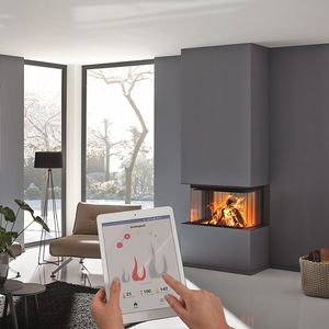 wood-burning fireplace insert