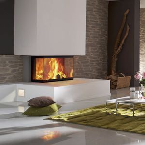 3-sided fireplace insert