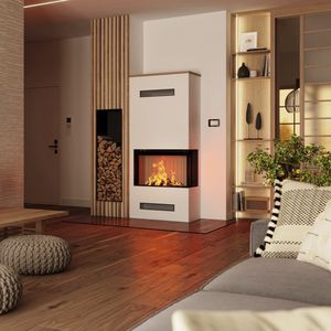2-sided fireplace insert