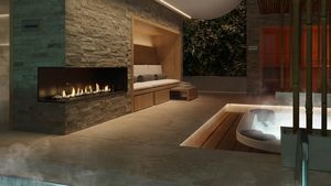 bioethanol fireplace
