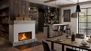 wood-burning fireplace insert