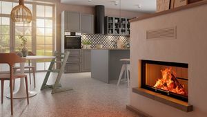 wood-burning fireplace insert