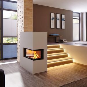 corner fireplace insert