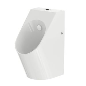 wall-mounted urinal