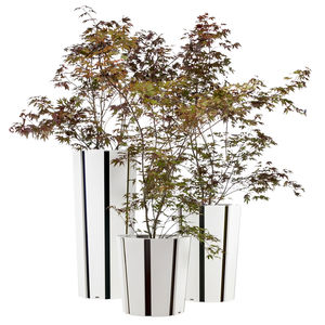 concrete planter