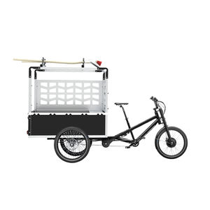 electric vehicle 1