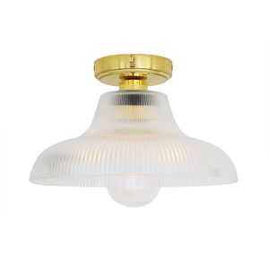 traditional ceiling light