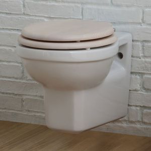 wall-hung toilet 1
