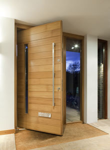entry door 1