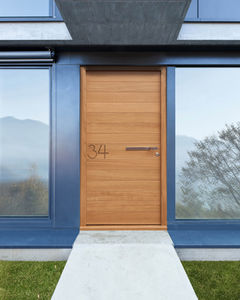 entry door 1