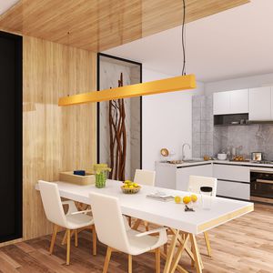 hanging light fixture 1