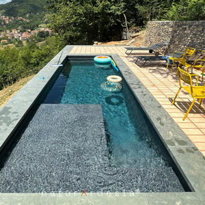 integrated coping swimming pool 1