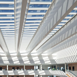 flat roof skylight 1