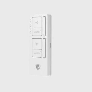 lighting radio remote control 1
