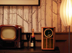 shelf speaker 1