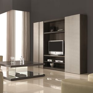 contemporary TV wall unit