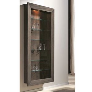 contemporary display case