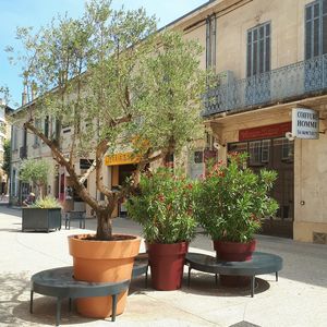 design public bench