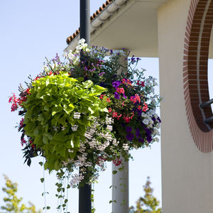 hanging planter stand