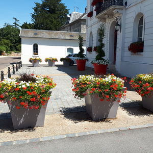 polyethylene planter