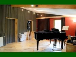 wall-mounted acoustic panel / foam / auditorium / commercial