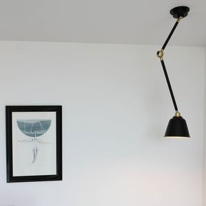 contemporary ceiling light 1