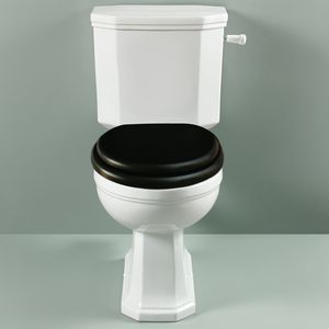 close coupled toilet 1
