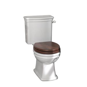 close coupled toilet 1