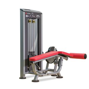 leg curl weight training machine