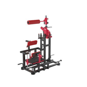 back extension weight training machine