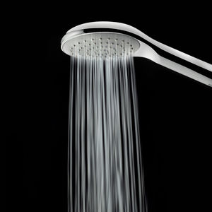round hand shower 1
